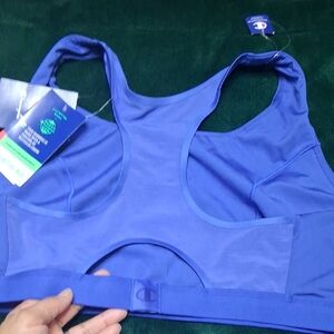 Champion Vibrant Blue Sports Bra